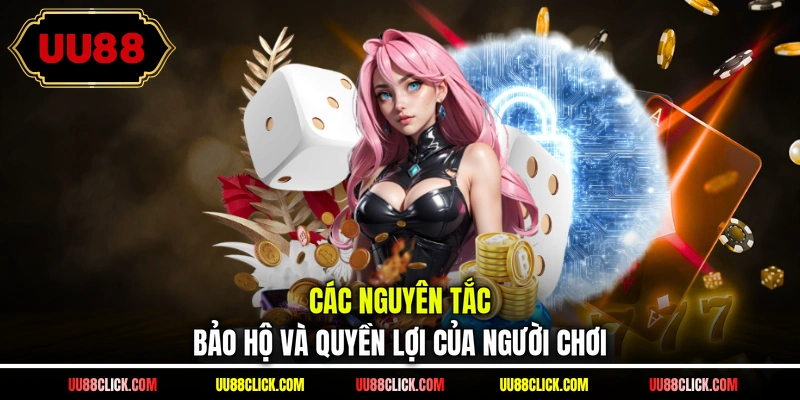 Các nguyên tắc bảo hộ và quyền lợi của người chơi
