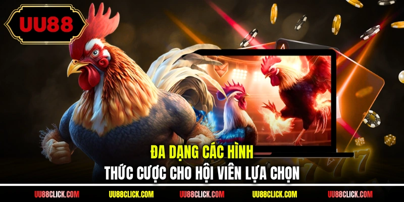 Đa dạng các hình thức cược cho hội viên lựa chọn