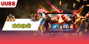 Đá Gà Cựa Sắt