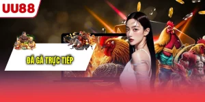 Đá gà trực tiếp